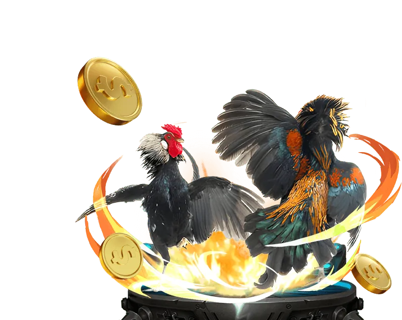 Phương thức thanh toán Winbet